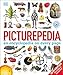 Picturepedia: an encyclopedia on every page