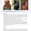 The New Complete Dog Book, 22nd Edition: Official Breed Standards and Profiles for Over 200 Breeds (CompanionHouse Books) American Kennel Club's Bible of Dogs: 920 Pages, 7 Variety Groups, 800 Photos