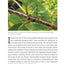 Bug-Free Organic Gardening: Controlling Pest Insects without Chemicals