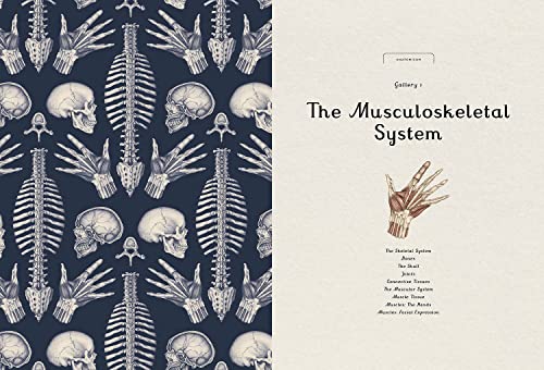 Anatomicum: Welcome to the Museum