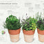 The Cook's Herb Garden: Grow, Harvest, Cook