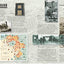 Ww2 Victory In Europe Experience: From D-day To The Destruction Of The Third Reich