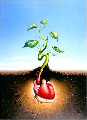Tulip Farms and Leper Colonies (American Poets Continuum)