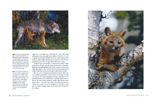 North American Wildlife — back cover