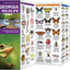 Georgia Wildlife: A Folding Pocket Guide to Familiar Animals (Wildlife and Nature Identification)
