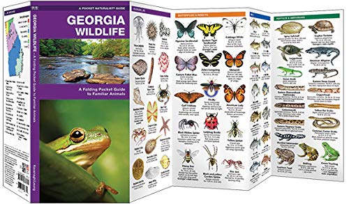 Georgia Wildlife: A Folding Pocket Guide to Familiar Animals (Wildlife and Nature Identification)