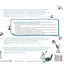 The Corporate Startup: How established companies can develop successful innovation ecosystems