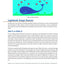 The Principles of Beautiful Web Design: Designing Great Web Sites is Not Rocket Science!