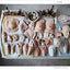 Body: The Photography Book