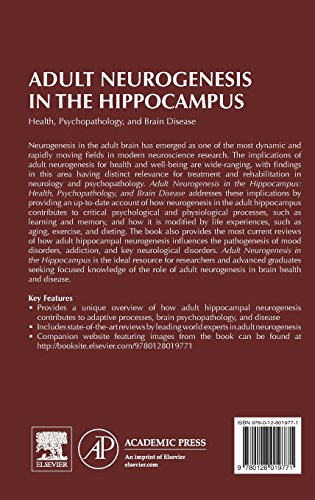 Adult Neurogenesis in the Hippocampus: Health, Psychopathology, and Brain Disease