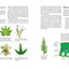 What's Wrong With My Plant? (And How Do I Fix It?): A Visual Guide to Easy Diagnosis and Organic Remedies (Whats Wrong Series)