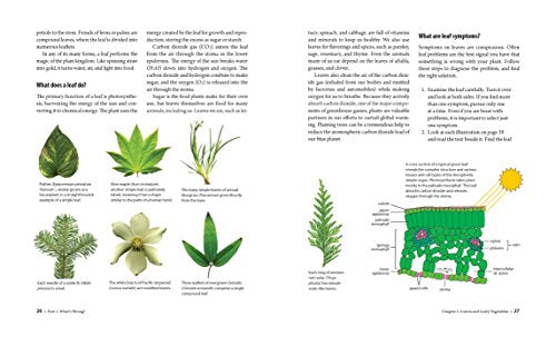 What's Wrong With My Plant? (And How Do I Fix It?): A Visual Guide to Easy Diagnosis and Organic Remedies (Whats Wrong Series)