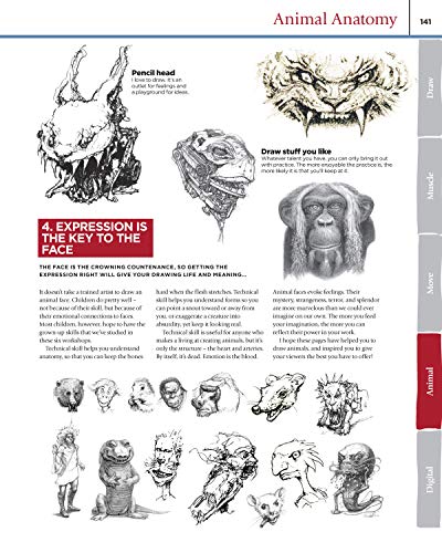 How to Draw and Paint Anatomy, All New 2nd Edition: Creating Lifelike Humans and Realistic Animals (Fox Chapel Publishing) Complete Artist's Guide & CD; Step-by-Step Guidance to Bring Your Art to Life