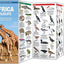 African Wildlife: A Folding Pocket Guide to Familiar Species (Wildlife and Nature Identification)