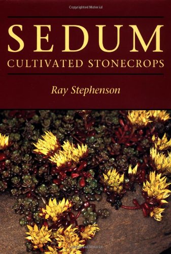 Sedum: Cultivated Stonecrops