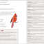 Bird Watching Book for Kids: A Journal to Observe and Record Your Birding Adventures (Exploring for Kids Activity Books and Journals)