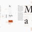 A Type Primer, 2nd Edition