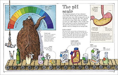 Mammoth Science: The Big Ideas That Explain Our World (DK)