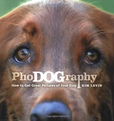 PhoDOGraphy: How to Get Great Pictures of Your Dog