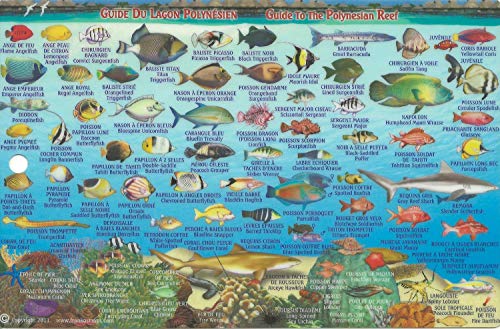 Bora Bora Map & Guide to the Polynesian Reef Waterproof Fish Card