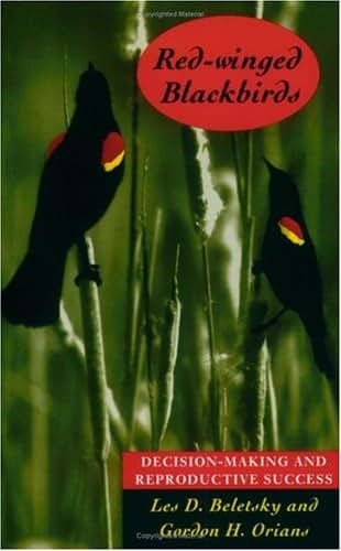 Red-winged Blackbirds: Decision-making and Reproductive Success