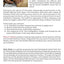 MOXA IN MOTION WITH THE ONTAKE METHOD: Rhythmic Moxibustion Methods from Japan for Mind-Body Healing
