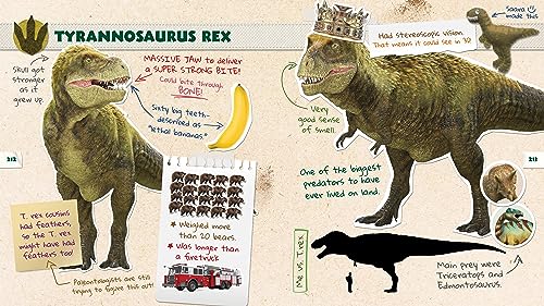 Dino Dana: Dino Field Guide by J.J. Johnson