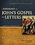 A Theology of John's Gospel and Letters: The Word, the Christ, the Son of God (Biblical Theology of the New Testament Series)