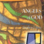 Angels of God (Threshold Bible Study)
