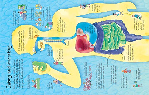 See Inside Your Body (International Edition)
