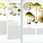 Mushrooms of the World