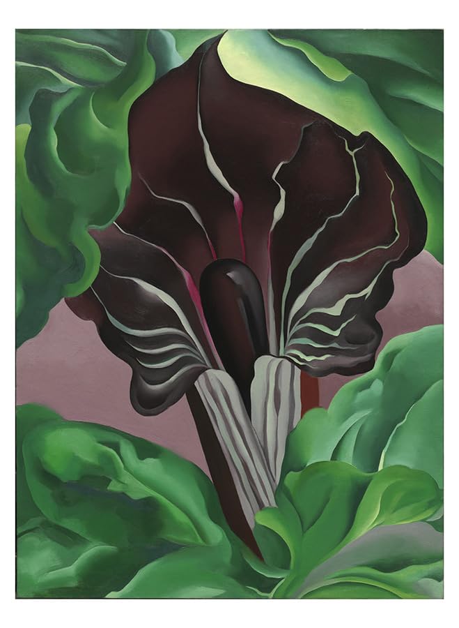 Georgia O'Keeffe A Book of Postcards: Abstraction