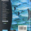 Algebra 1 Common Core Student Edition, Grade 8-9 by Randall