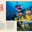 Papua, New Guinea & Solomon Islands (Lonely Planet Travel Guide)