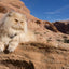Adventure Cats: Living Nine Lives to the Fullest