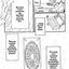 Cardcaptor Sakura: Master of the Clow, Book 6