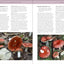 Mushrooms of the Northeastern United States and Eastern Canada (A Timber Press Field Guide)