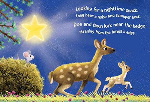 Twinkle, Twinkle Little Star - Padded Board Book