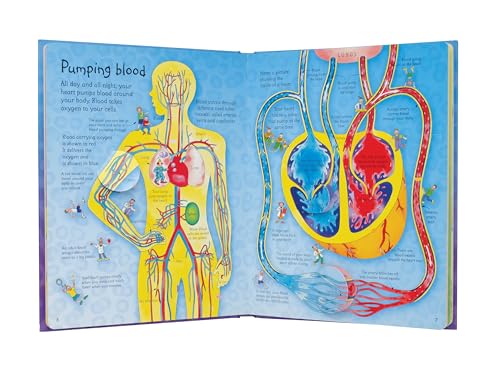 See Inside Your Body (International Edition)