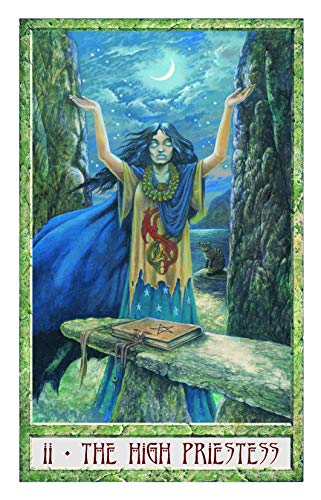 The Druid Plant Oracle: Working with the Magical Flora of th