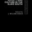 Society and Culture in the Slave South (Rewriting Histories)