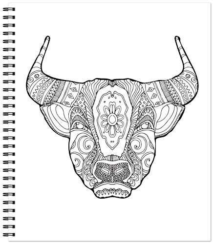 Color & Frame - Painted Deserts (Adult Coloring Book)