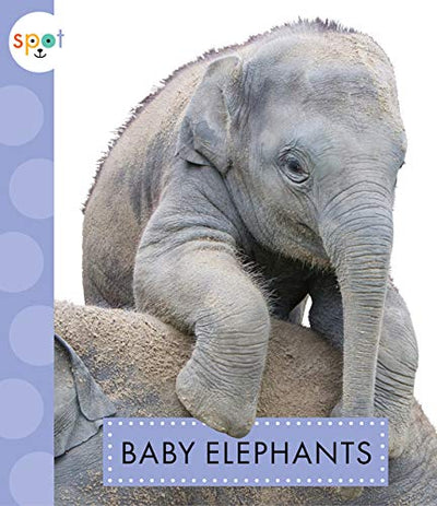 Baby Elephants (Spot)