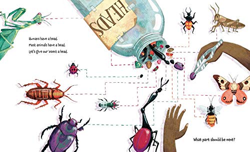 How to Build an Insect