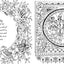 Escape to Oz: A Colouring Book Adventure