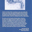 Control of Communicable Diseases Manual by Heymann, David L.