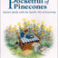 Pocketful of Pinecones: Nature Study With the Gentle Art of