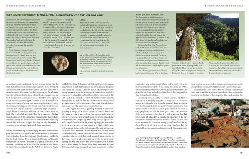The Human Past: World Prehistory and the Development of Human Societies