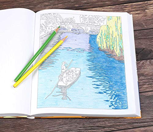 Large Print Calm Color-by-Number