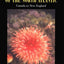 Marine Life of the North Atlantic : Canada to New England 2n Ed.